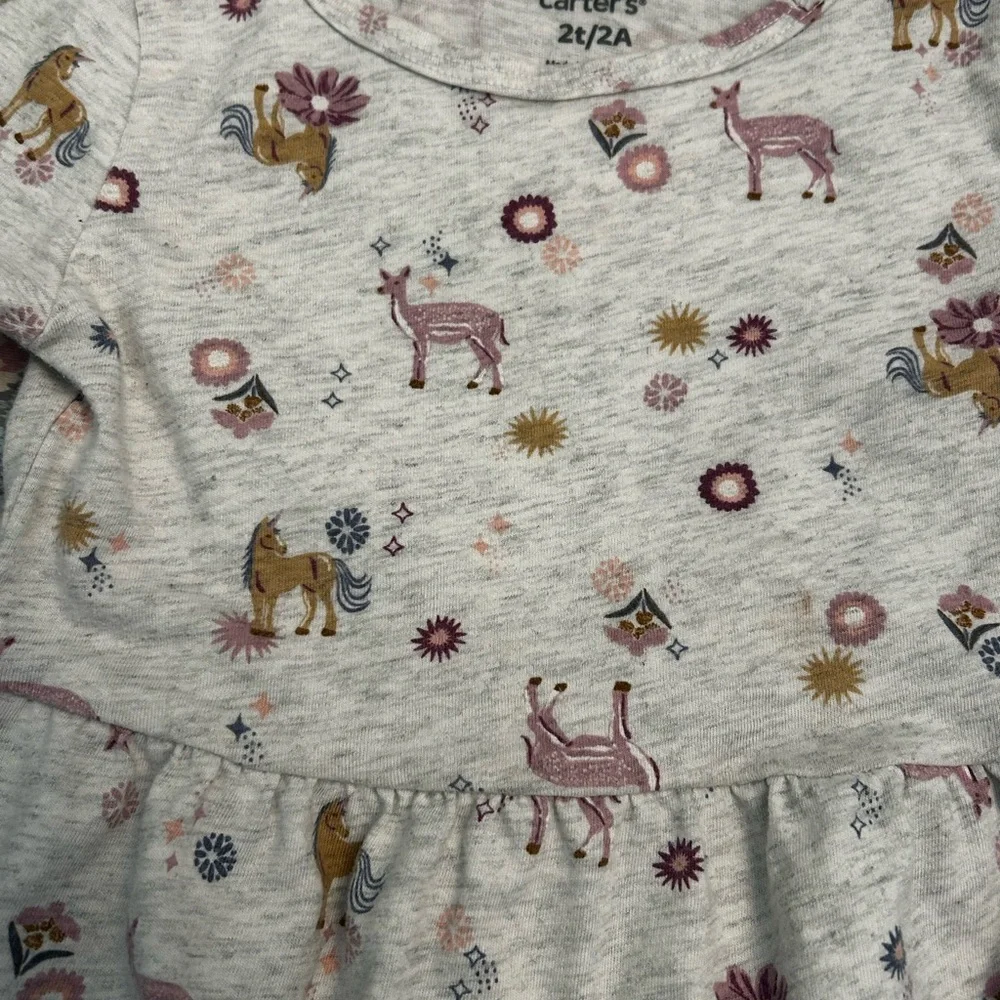 Carter's Multicolor and Gray Kids long sleeve dresses 2t bundle